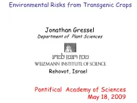 Environmental Risks from Transgenic Crops Jonathan Gressel Pontifical
