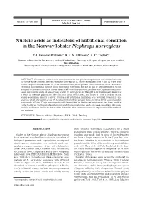 Nucleic Acids As Indicators of Nutritional Condition in the Norway Lobster Nephrops Norvegicus