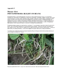 Phytophthora Blight on Beans
