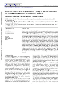 Numerical Study of Winter Shamal Wind Forcing on the Surface Current and Wave Field in Bushehr's Offshore Using MIKE21