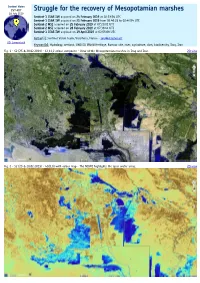 Struggle for the Recovery of Mesopotamian Marshes
