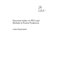 Structural Studies on PP2A and Methods in Protein Production