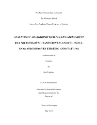 Open Seth Polydore Doctoral Thesis.Pdf