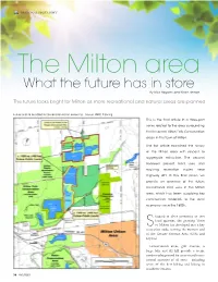 What the Future Has in Store by Nick Bogaert and Brian Zeman