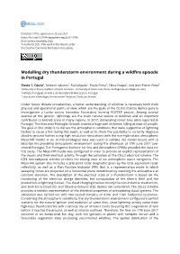 Modelling Dry Thunderstorm Environment During a Wildfire Episode in Portugal