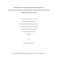 Plasmid Analysis, Comparative Genomics and Transcriptomics of Beer-Spoilage Lactic Acid Bacteria Emphasizing the Role of Dissolved Carbon Dioxide And