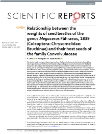 Relationship Between the Weights of Seed Beetles of the Genus