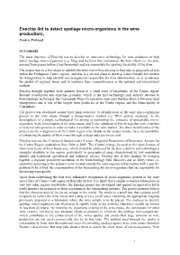 Technopolis Report