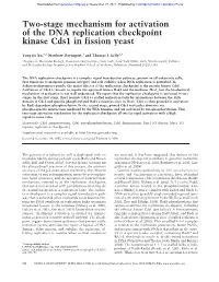 Two-Stage Mechanism for Activation of the DNA Replication Checkpoint Kinase Cds1 in Fission Yeast