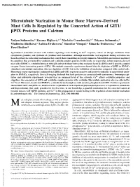 And Calcium PIX Proteins Β the Concerted Action of GIT1/ Derived Mast Cells Is Regulated by − Marrow Microtubule Nucleation I