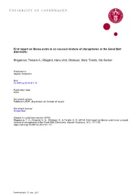 First Report on Beroe Ovata in an Unusual Mixture of Ctenophores in the Great Belt (Denmark)