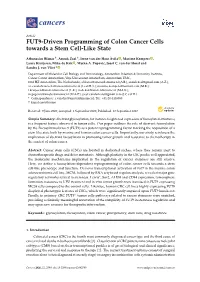 FUT9-Driven Programming of Colon Cancer Cells Towards a Stem Cell-Like State