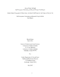 Final Report