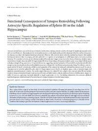 Functional Consequences of Synapse Remodeling Following Astrocyte-Specific Regulation of Ephrin-B1 in the Adult Hippocampus
