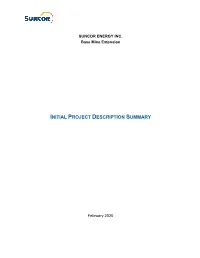 Initial Project Description Summary