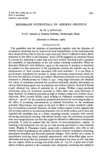 Membrane Potentials in Amoeba Proteus