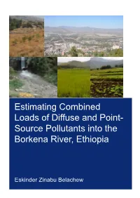 Source Pollutants Into the Borkena River, Ethiopia