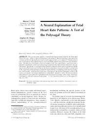 A Neural Explanation of Fetal Heart Rate Patterns: a Test of the Polyvagal