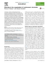 Diversity in the Organization of Centromeric Chromatin