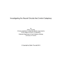 Investigating the Neural Circuits That Control Cataplexy