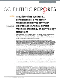 Pseudouridine Synthase 1 Deficient Mice, a Model for Mitochondrial Myopathy with Sideroblastic Anemia, Exhibit Muscle Morphology and Physiology Alterations