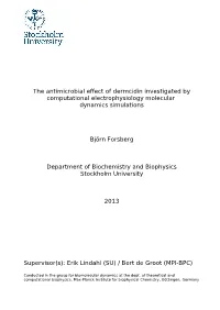 The Antimicrobial Effect of Dermcidin Investigated by Computational Electrophysiology Molecular Dynamics Simulations
