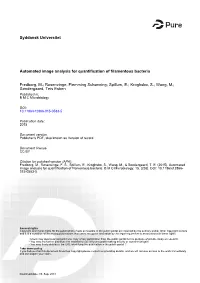 Automated Image Analysis for Quantification of Filamentous Bacteria