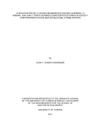 University of Florida Thesis Or Dissertation Formatting