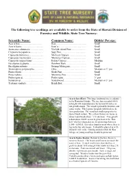 The Following Tree Seedlings Are Available to Order from the State of Hawaii Division of Forestry and Wildlife, State Tree Nursery