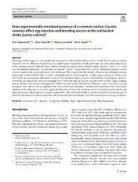 Does Experimentally Simulated Presence of a Common Cuckoo (Cuculus Canorus) Affect Egg Rejection and Breeding Success in the Red‑Backed Shrike (Lanius Collurio)?