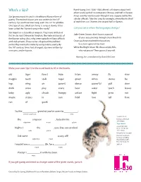 What's a Sijo?