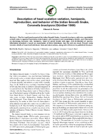 Description of Head Scalation Variation, Hemipenis, Reproduction, and Behavior of the Indian Smooth Snake, Coronella Brachyura (Günther 1866) Dikansh S