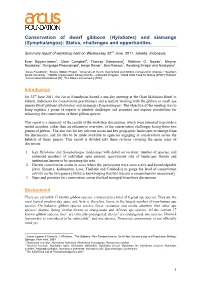Hylobates and Symphalangus Conservation: Status, Challenges and Opportunities