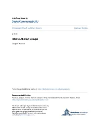 Infinite Abelian Groups