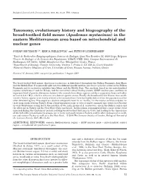(Apodemus Mystacinus) in the Eastern Mediterranean Area Based on Mitochondrial and Nuclear Genes