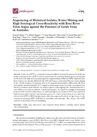 Sequencing of Historical Isolates, K-Mer Mining and High Serological Cross-Reactivity with Ross River Virus Argue Against the Presence of Getah Virus in Australia