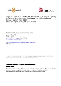 Zooming in on Transcription Preinitiation
