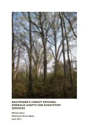 Baltimore's Forest Patches: Emerald Assets for Ecosystem Services