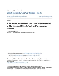 Concentrating Mechanisms and Development of Molecular Tools for Chlamydomonas Reinhardtii