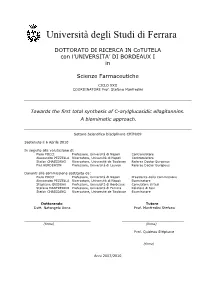 Total Synthesis of C-Arylglucosidic Ellagitannins