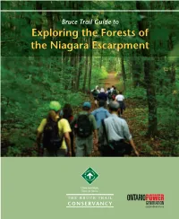 Bruce Trail Guide to Exploring the Forests of the Niagara Escarpment