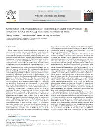 Contribution to the Understanding of Iodine Transport Under Primary