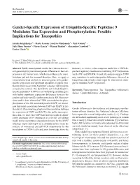 Gender-Specific Expression of Ubiquitin-Specific Peptidase 9 Modulates Tau Expression and Phosphorylation: Possible Implications for Tauopathies
