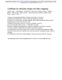 Cellrank for Directed Single-Cell Fate Mapping