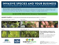 Invasive Species and Your Business Join Us in Protecting Minnesota Waters | Sell Only Low-Risk Species and Help to Prevent Releases and Escapes
