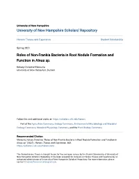 Roles of Non-Frankia Bacteria in Root Nodule Formation and Function in Alnus Sp
