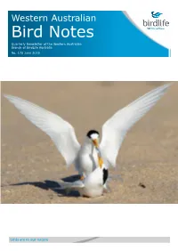 WABN #170 2019 Jun.Pdf
