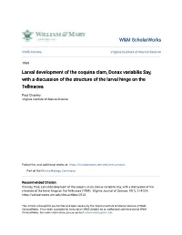 Larval Development of the Coquina Clam, Donax Variabilis Say, with a Discussion of the Structure of the Larval Hinge on the Tellinacea