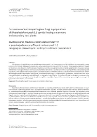 Occurrence of Entomopathogenic Fungi in Populations of Rhopalosiphum Padi (L.) Aphids Feeding on Primary and Secondary Host Plants