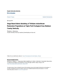 Stage Based Matrix Modeling of [I]Trifolium Stoloniferum[/I]